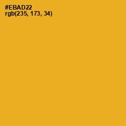 #EBAD22 - Fuel Yellow Color Image