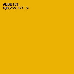 #EBB103 - Corn Color Image