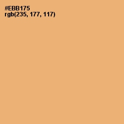 #EBB175 - Harvest Gold Color Image