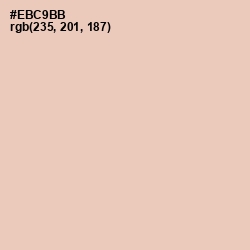 #EBC9BB - Just Right Color Image