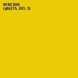 #EBCB05 - Supernova Color Image