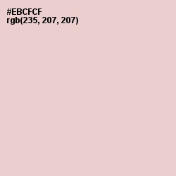 #EBCFCF - Oyster Pink Color Image