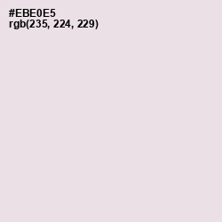 #EBE0E5 - Ebb Color Image