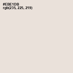 #EBE1DB - Pearl Bush Color Image