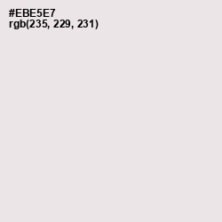 #EBE5E7 - Ebb Color Image