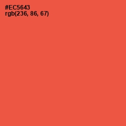 #EC5643 - Sunset Orange Color Image