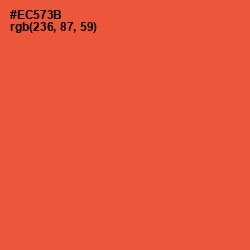 #EC573B - Flamingo Color Image