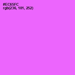 #EC65FC - Pink Flamingo Color Image