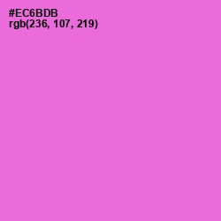 #EC6BDB - Orchid Color Image