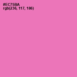 #EC75BA - Persian Pink Color Image