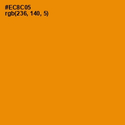 #EC8C05 - Tangerine Color Image