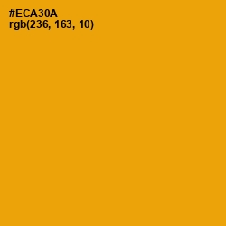 #ECA30A - Buttercup Color Image