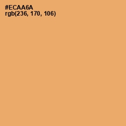 #ECAA6A - Porsche Color Image