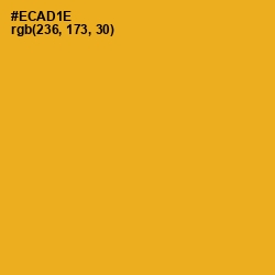 #ECAD1E - Buttercup Color Image