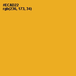 #ECAD22 - Fuel Yellow Color Image