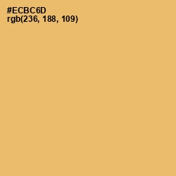 #ECBC6D - Equator Color Image