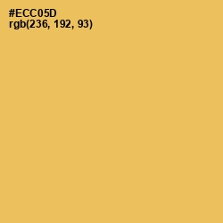 #ECC05D - Cream Can Color Image