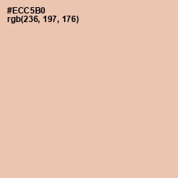 #ECC5B0 - Just Right Color Image