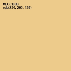 #ECCB8B - Putty Color Image