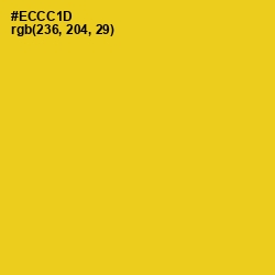 #ECCC1D - Ripe Lemon Color Image