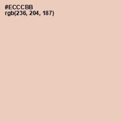 #ECCCBB - Just Right Color Image