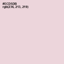 #ECD5DB - Bizarre Color Image