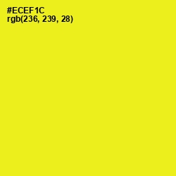 #ECEF1C - Broom Color Image