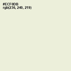 #ECF0DB - Loafer Color Image