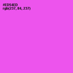 #ED54ED - Pink Flamingo Color Image