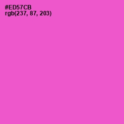 #ED57CB - Orchid Color Image