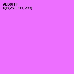 #ED6FFF - Blush Pink Color Image