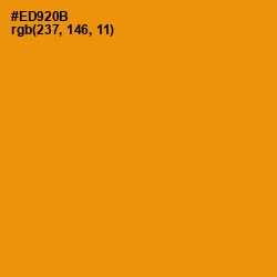 #ED920B - Gamboge Color Image