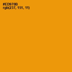 #ED970B - Gamboge Color Image