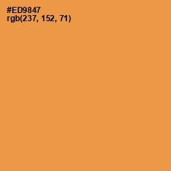 #ED9847 - Tan Hide Color Image