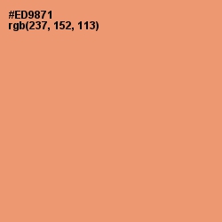 #ED9871 - Apricot Color Image