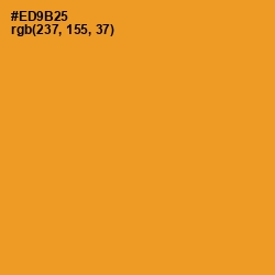 #ED9B25 - Fire Bush Color Image