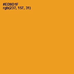 #ED9D1F - Dixie Color Image