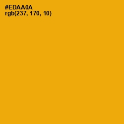 #EDAA0A - Buttercup Color Image