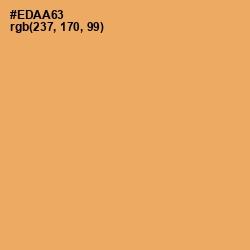 #EDAA63 - Porsche Color Image