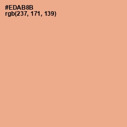 #EDAB8B - Tacao Color Image