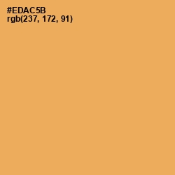 #EDAC5B - Casablanca Color Image