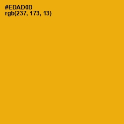 #EDAD0D - Buttercup Color Image