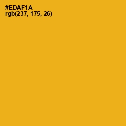 #EDAF1A - Buttercup Color Image
