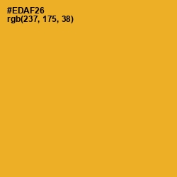 #EDAF26 - Fuel Yellow Color Image