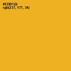 #EDB122 - Fuel Yellow Color Image