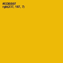 #EDBB07 - Corn Color Image