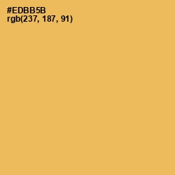 #EDBB5B - Saffron Mango Color Image