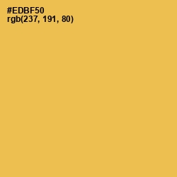 #EDBF50 - Casablanca Color Image