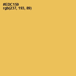 #EDC159 - Cream Can Color Image