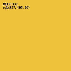 #EDC33C - Saffron Color Image